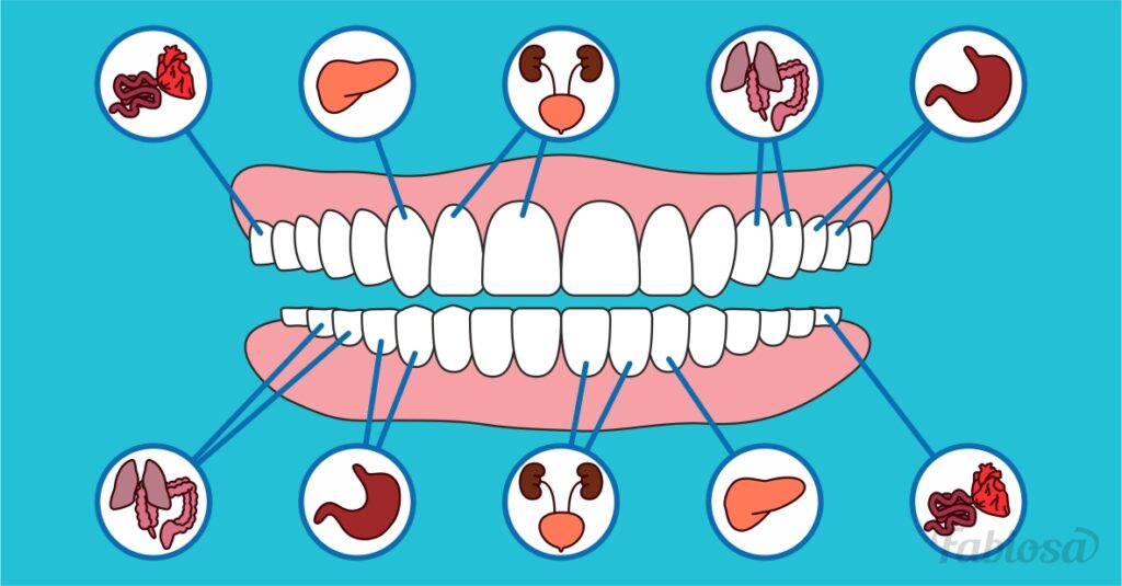 TERAPIA BIOCIBERNÉTICA O QUE É E QUAIS SEUS BENEFÍCIOS 1024x535 - TERAPIA BIOCIBERNÉTICA - O QUE É E QUAIS SEUS BENEFÍCIOS