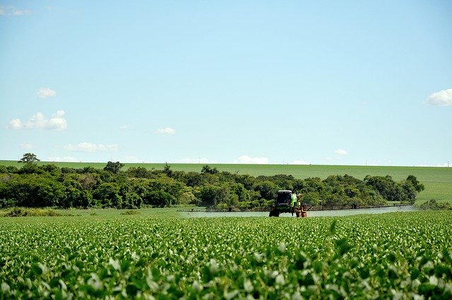 MUDANÇAS NOS PADRÕES ALIMENTARES MUNDIAIS - PANCS - PLANTAS ALIMENTÍCIAS NÃO CONVENCIONAIS