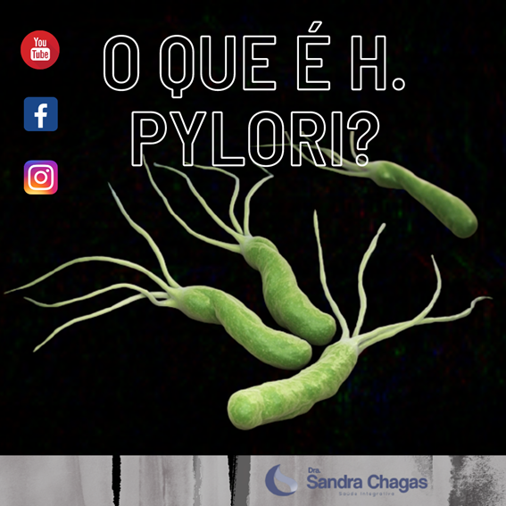 O que e o H.Pylori como se pega e como tratar o H.Pylori - O que é o H. Pylori, como se pega e como tratar o H. Pylori?